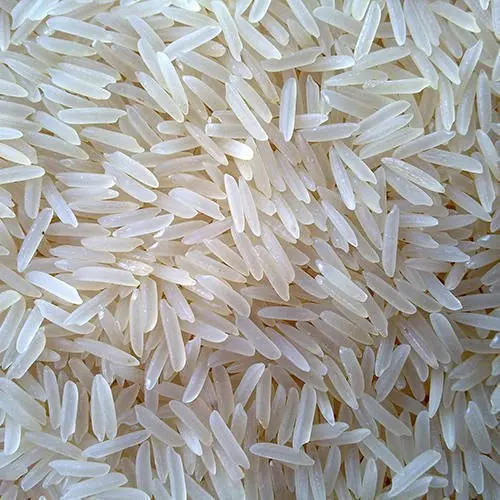 Pusa Basmati 1509 Rice