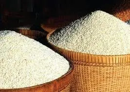 DEHRADUNI BASMATI TARAORI  RICE