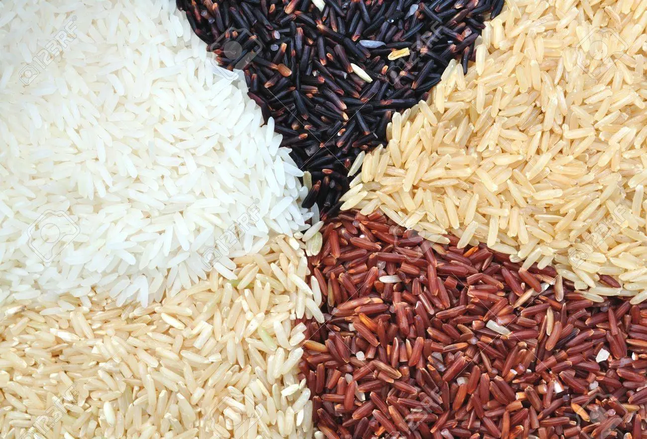 ORGANIC RICE