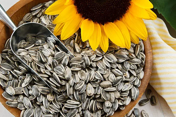 SUNFLOWER SEED