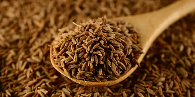 CUMIN SEED