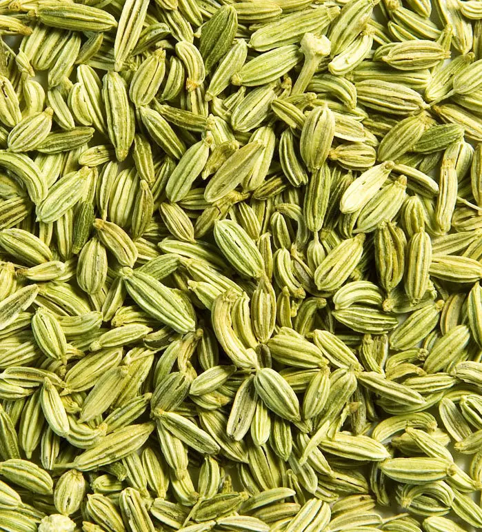 FENNEL SEED