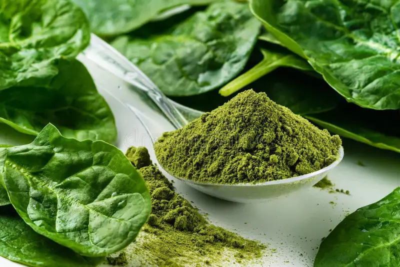 SPINACH  POWDER