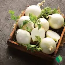 WHITE ONION