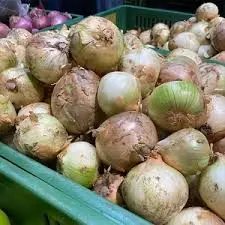 PUSA WHITE FLAT ONION